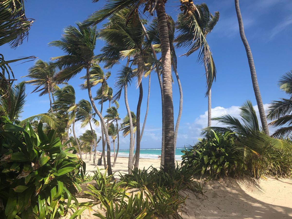 Terraza Art Villa Dominicana Punta Cana Zewnętrze zdjęcie